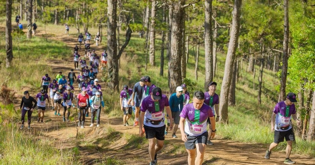 Tổng Hợp Các Giải Chạy Bộ Mới Nhất Tại Việt Nam 2026 3 Các giải chạy trail thường tổ chức vào thời gian nào?